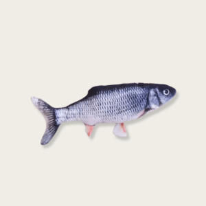 Black Grass Carp