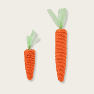 Bite and Kicker Carrot Interactive Cat Toys