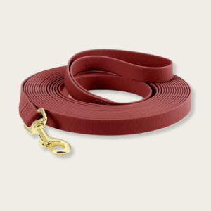 Burgundy Red