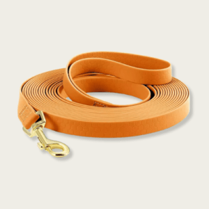 Vibrant Orange