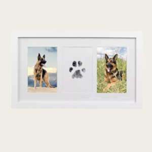 Safe & Non-Toxic Pet Paw Print Ink Pad