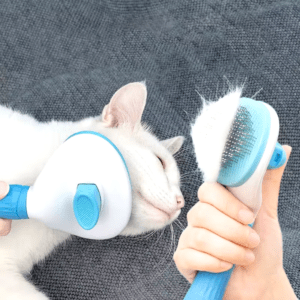 Self-Cleaning Stainless Bristles Cat Brush / Dog Brush