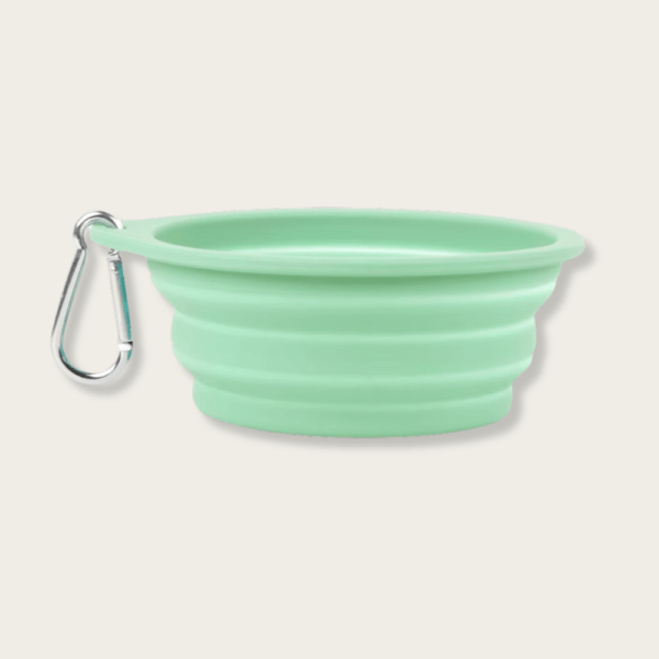 Premium Food-Grade Silicone Collapsible Dog Bowl / Cat Bowl - Image 3