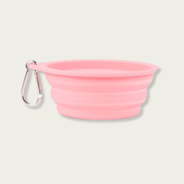 Premium Food-Grade Silicone Collapsible Dog Bowl / Cat Bowl - Image 11