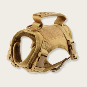 Brown Harness
