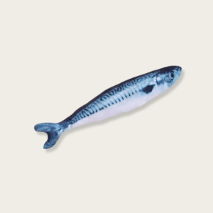Spanish Mackerel