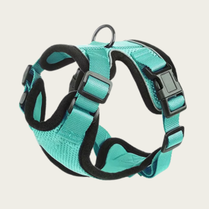 Secure Breathable Vibrant Dog Harness / Cat Harness