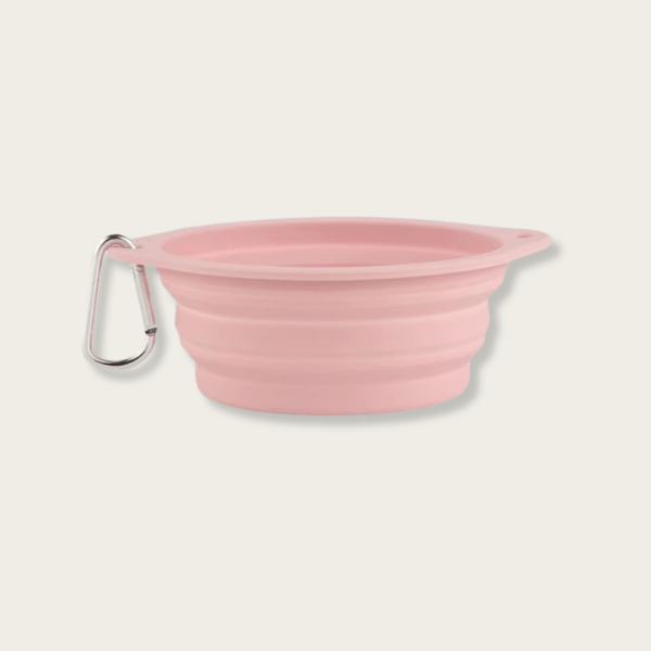 Premium Food-Grade Silicone Collapsible Dog Bowl / Cat Bowl - Image 14