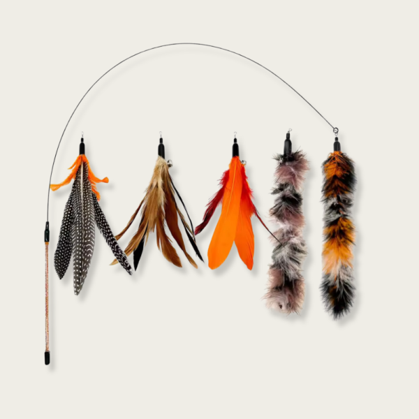 Premium Teasing Wand Interactive Cat Toys with Refills
