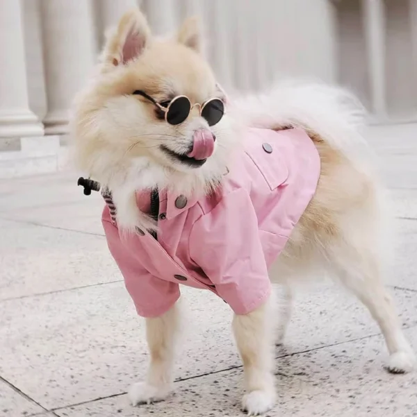 Waterproof Raincoat Dog Clothes / Cat Clothes - Image 7