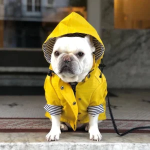 Waterproof Raincoat Dog Clothes / Cat Clothes