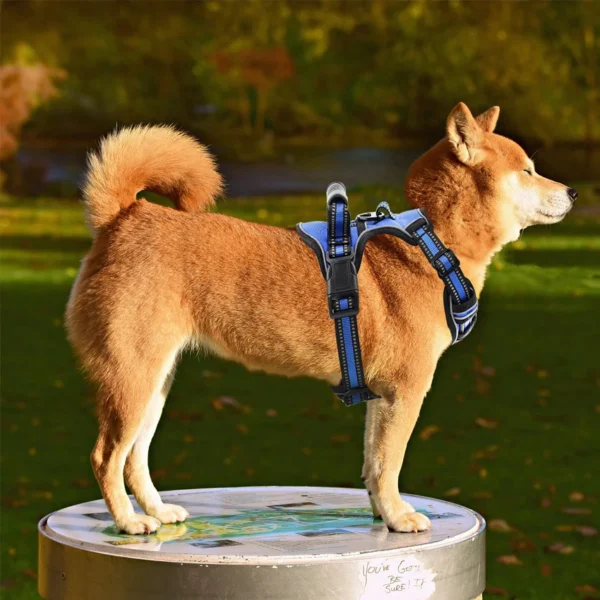 Reflective No-Pull Dog Harness - Image 2