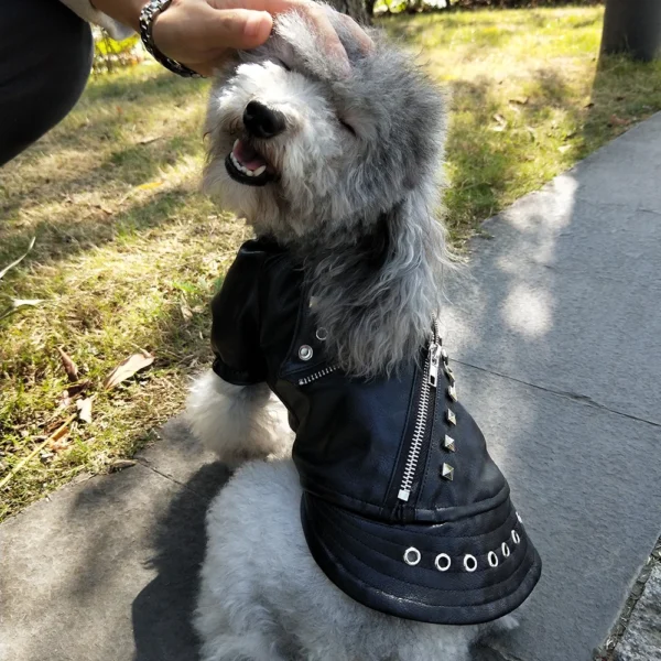 Rockstar Leather Jacket Dog Clothes / Cat Clothes - Image 6