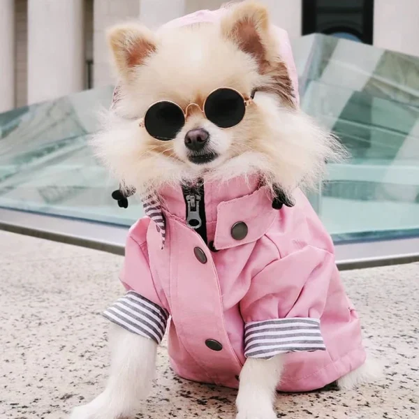 Waterproof Raincoat Dog Clothes / Cat Clothes - Image 6