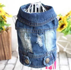 Classic Back Patch Denim