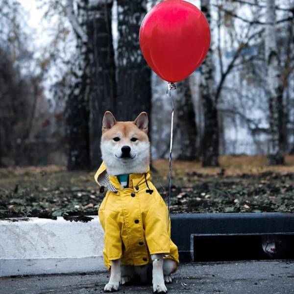 Waterproof Raincoat Dog Clothes / Cat Clothes - Image 3