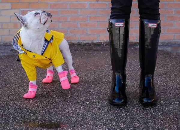 Waterproof Raincoat Dog Clothes / Cat Clothes - Image 4