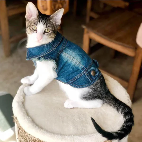 Classic Denim Vest Dog Clothes / Cat Clothes - Image 8