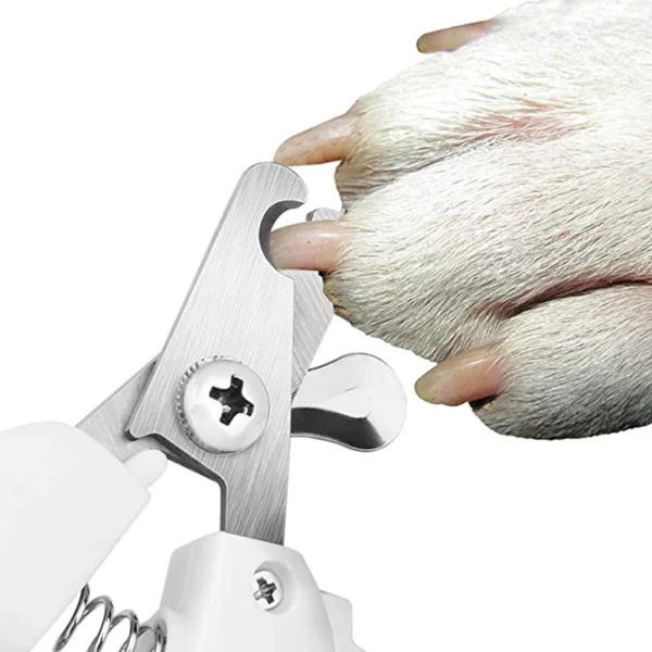 Professional Cat Nail Clippers / Dog Nail Clippers - Image 2