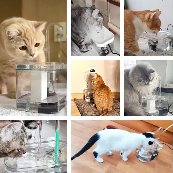 CrystalFlow Silent Cat Water Fountain / Dog Fountain - Image 3