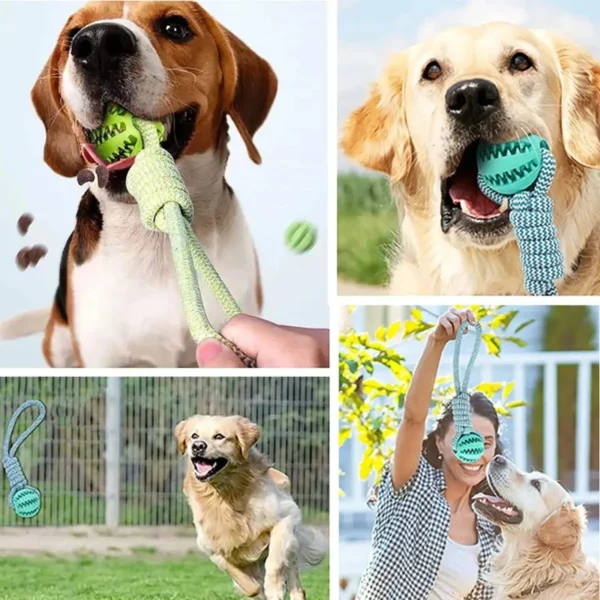 Teeth Cleaning Treat Dispensing Indestructible Dog Toy - Image 2
