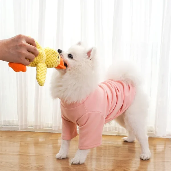 Quacking Companion Duck Indestructible Dog Toys - Image 7