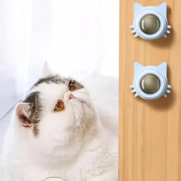 360° Rotating Balls Natural Catnip Stimulating Cat Toy - Image 4