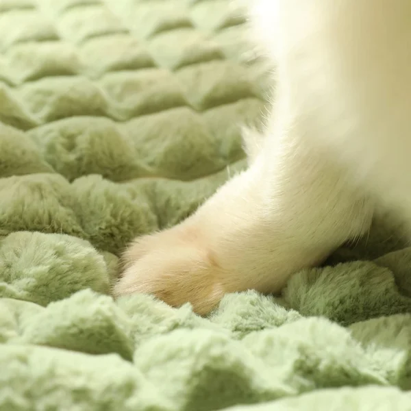 Premium Easy Washable Indestructible Dog Bed - Image 4