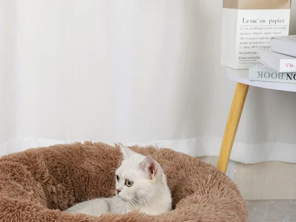 Washable Enhanced Comfort Donut Dog Bed and Cat Bed - Image 7