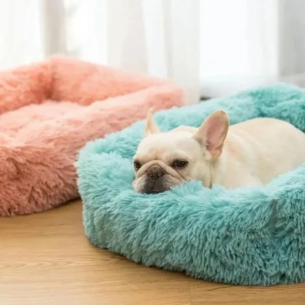 Enhanced Comfort Plush Cat Bed or Dog Bed - Image 16