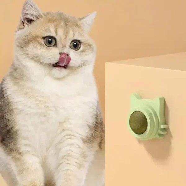 360° Rotating Balls Natural Catnip Stimulating Cat Toy - Image 2