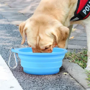 Premium Food-Grade Silicone Collapsible Dog Bowl / Cat Bowl