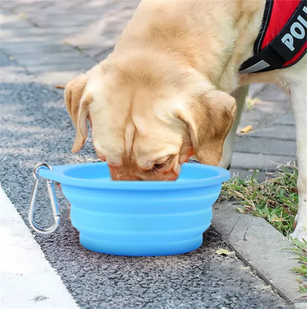 Premium Food-Grade Silicone Collapsible Dog Bowl / Cat Bowl