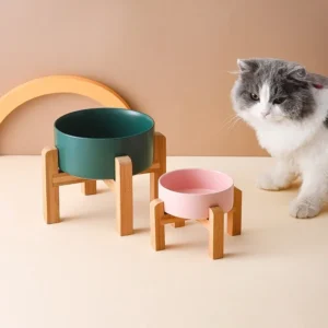 Elegant Ceramic Elevated Dog Bowls & Cat Bowls