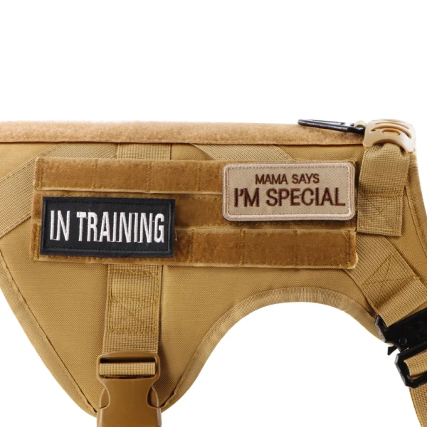 Clear and Bold Tactical K9 Patches - Image 4