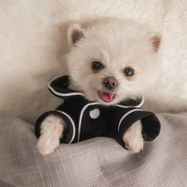 Comfortable Pajama Dog Clothes / Cat Clothes - Image 4