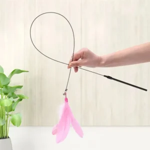 Teasing Wand Interactive Cat Toys