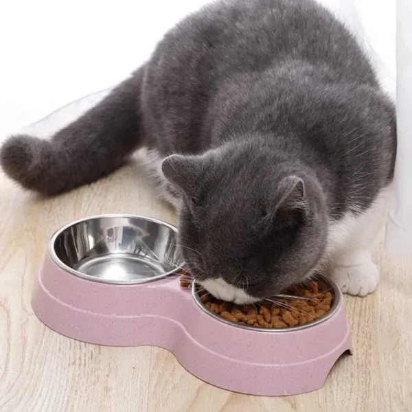 Non-Slip Stainless Steel Dual Dog Bowls & Cat Bowls - Image 5