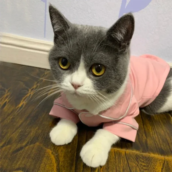 Comfortable Pajama Dog Clothes / Cat Clothes - Image 3