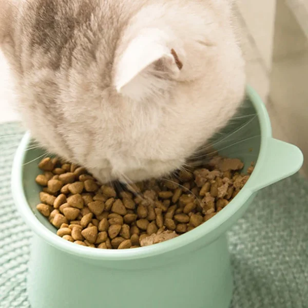 Anti-Choking Tilted Elevated Dog Bowl & Cat Bowl - Image 3