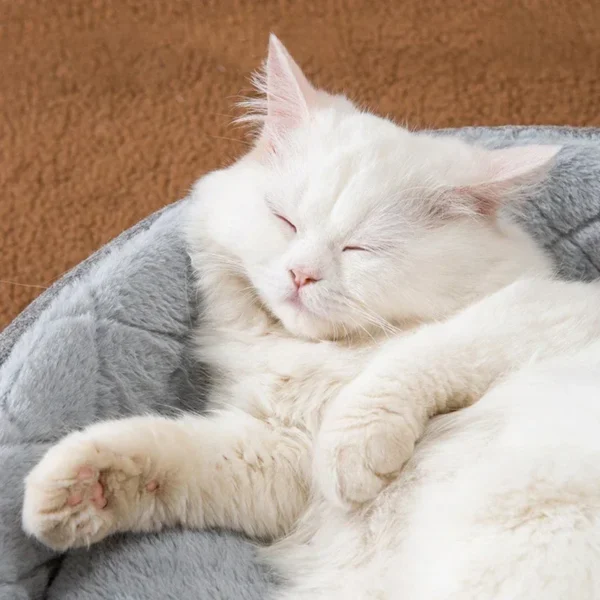 Max Cushion Adorable Mouse Dog Bed and Cat Bed - Image 2