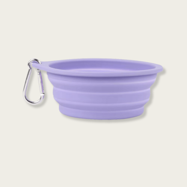 Premium Food-Grade Silicone Collapsible Dog Bowl / Cat Bowl - Image 4