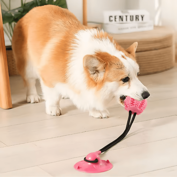 Interactive Dog Toy with Treat Dispensing Ball