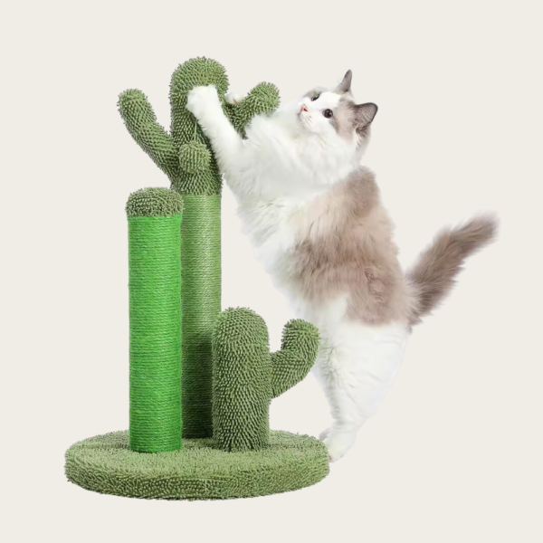 Interactive Cactus Cat Scratching Post - Image 4