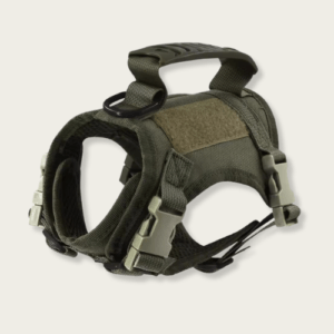 Green Harness