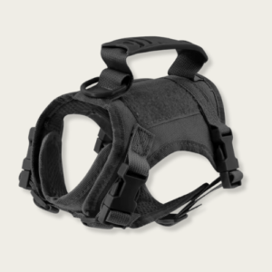 Black Harness