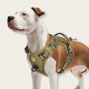 Durable 1050D Military-Grade Tactical Dog Harness with MOLLE