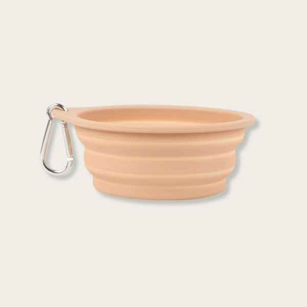 Premium Food-Grade Silicone Collapsible Dog Bowl / Cat Bowl - Image 8