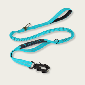 Reflective Bungee Dog Leash with Car Seat Belt Clip