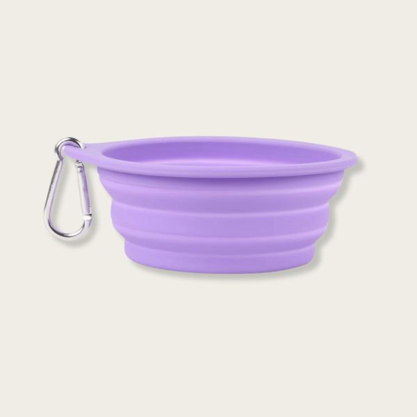 Premium Food-Grade Silicone Collapsible Dog Bowl / Cat Bowl - Image 6